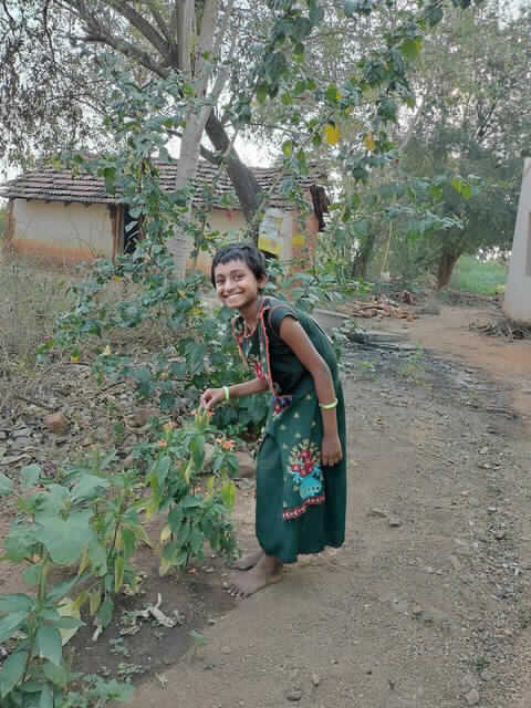 Bhanu