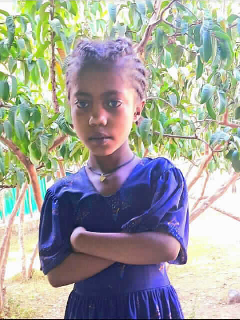 Abeba