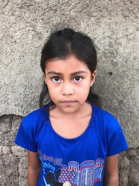 Adelis