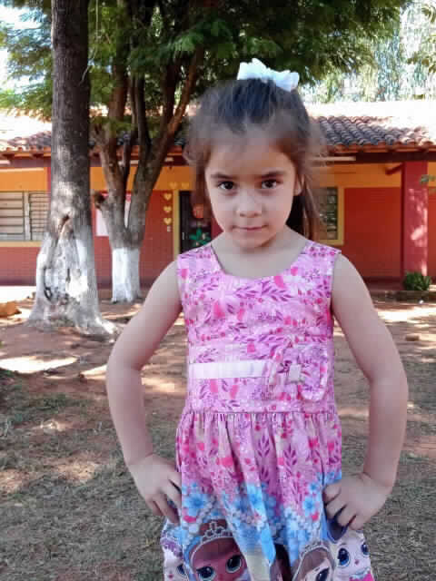 Amira