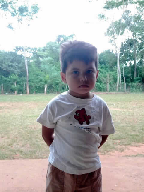 Nestor