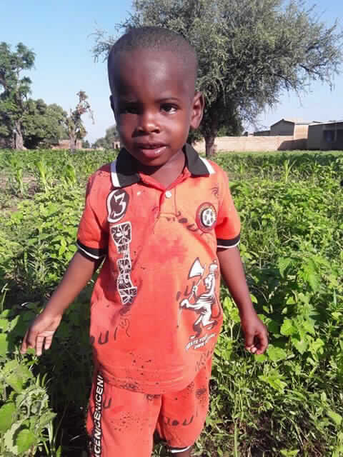 Salif