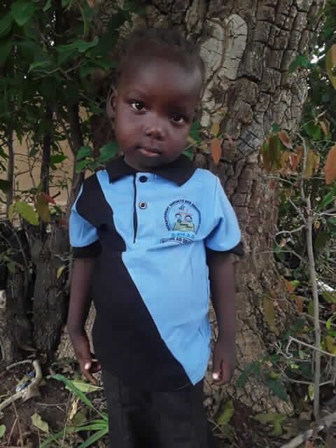 Wendyide