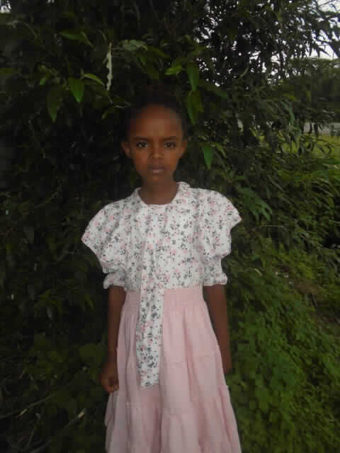 Fenet