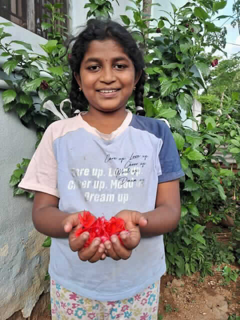 Harika