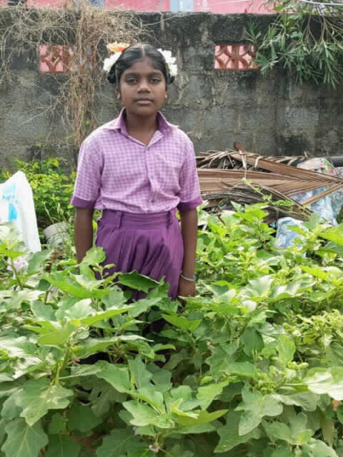 Narmatha